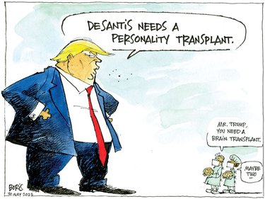 Editorial cartoon of Donald Trump saying "Desantis needs a personality transplant" to little people telling him he needs a brain transplant