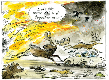 Cartoon of deer racing past a car away from a forest fire. The deer says "looks like we're all in together now."
