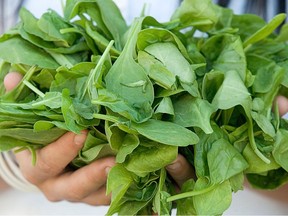Green, leafy vegetables like spinach are rich in folate — a B vitamin found naturally in many foods and crucial for healthy pregnancies.
