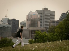 A man walks in a field with a smoggy skyline in the background