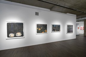 A view of the exhibition Pastels 1996-2004, featuring works by Quebec artist Françoise Sullivan. The show is at Galerie Simon Blais until July 15, 2023, in celebration of Sullivan's 100th birthday.