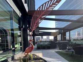 pink flamingo in the foreground, outdoor terrasse in the background