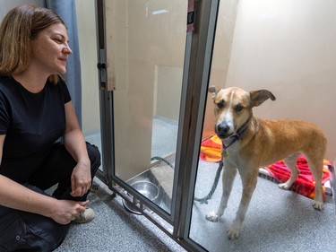 A woman looks at a dog behind glass