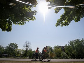 two cyclists with safety vests cycle under a bright sun