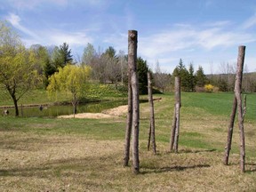 Sculptures of tree trunks in a grassy field