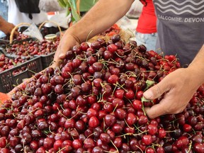People buy cherries at a market during the annual Cherry Festival in the Lebanese village of Hammana on June 11, 2023. (Photo by ANWAR AMRO / AFP)