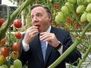 Quebec Premier François Legault samples a tomato while visiting the Savoura indoor farming facility in St-Sophie on Monday, June 19, 2023.