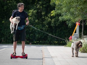 a man on a hoverboard carries a pug and has a griffon dog on a leash