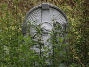 an overgrown gravestone