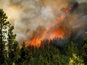 Flames from the Donnie Creek wildfire burn along a ridge top north of Fort St. John, B.C., on July 2, 2023.