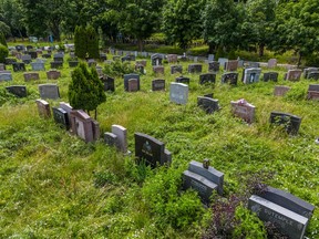 Lack of maintenance has caused nature to become overgrown at Notre-Dame-des-Neiges Cemetery in Montreal on Friday, July 14, 2023.