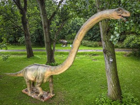A Diplodocus statue appears to be eating leaves