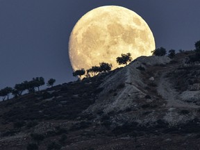 The moon rises over a rocky landscape. There are trees silhouetted against the moon.