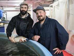 Owner and founders of Opercule fish farm, David Dupaul-Chicoine, left, and Nicolas Paquin hold an Arctic char at their farm in Montreal, Thursday, Aug. 10, 2023.
