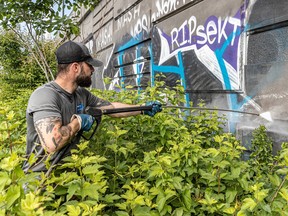 A Solutions Graffiti employee uses high-pressure equipment to remove graffiti from a retaining wall near the MUHC Glen site in Montreal.