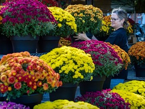 A woman arranges yellow, purple and orange flowers in a market display.