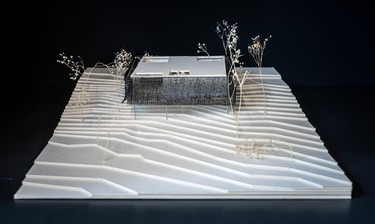 Grantham Foundation for the Arts and the Environment maquette