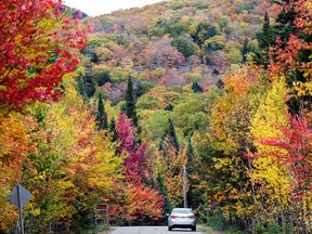 A car drives along a narrow paved road with spectacular red and yellow trees on the mountains surrounding it.