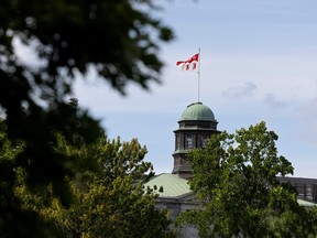 The McGill University flag is seen between trees against a blue sky.