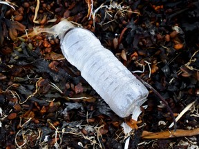 A single use plastic water bottle sits among a pile of seaweed on the shore of Frobisher Bay in Iqaluit on Aug. 2, 2019. Organisation bleue has collected more than four tonnes of garbage from Quebec beaches and riverbanks throughout summer.