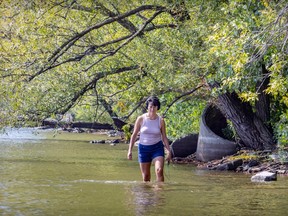A woman is standing in a river with trees in the background.