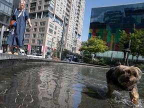 A woman is standing on the edge of a fountain to the left side of the photo. In the foreground, to the right, a small dog is cooling off in the water.