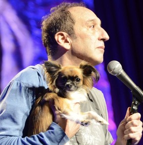 Canadian veteran standup comedian Jeremy Hotz is seen with his emotional-support chihuahua Shackelton.