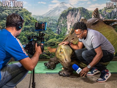 Noovo Info reporter Meeker Guerrier and cameraman Alex Volpeto interview a baby stegosaurus at the Jurassic World Live Tour photo-op at the Bell Centre in Montreal on Friday, Sept. 8, 2023. The show runs from Friday to Sunday at the Bell Centre.