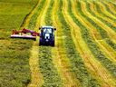 A tractor at work at McGill's Macdonald campus in Ste-Anne-de-Bellevue. Quebec is raising an