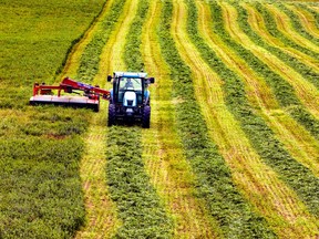 A tractor mows a field at McGill's Macdonald campus Ste-Anne-de-Bellevue.