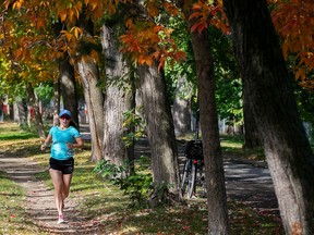 A woman runs down a path next to trees where the leaves have turned red