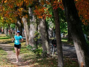 A woman jogs on a dirt path under trees with colourful leaves.