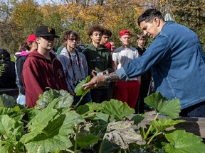 Danny Smiles, wearing a jean jacket, points out plants to a group of young people