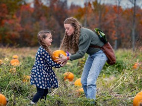 A woman hands a large pumpkin to a girl.