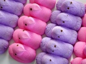 Pink and purple Peeps candies lined up.