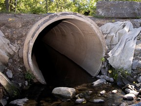 A sewer pipe discharges into a river