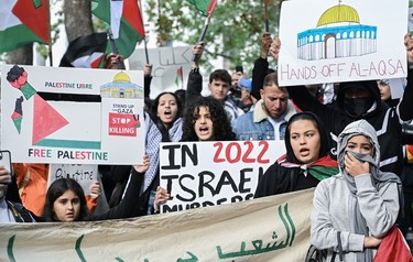 Protestors hold up signs calling for the liberation of Palestine