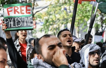 A protestor holds up a "Free Palestine" sign
