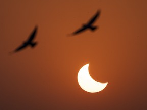 Western British Columbia will be the best place in Canada to view a rare annular solar eclipse set to happen Saturday, but cloudy skies could obscure the phenomenon for viewers on the south coast. Eagles fly past a partial solar eclipse in New Delhi, India, on Oct. 25, 2022.