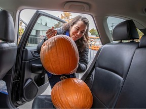 A woman stacks two large pumpkins in the back seat of a car.