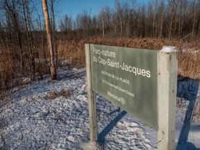 The creation of the Grand parc de l’est in the eastern end of the island will be similar to the Cap St-Jacques Nature Park that will be part of the Grand Parc de l'ouest in Pierrefonds.
