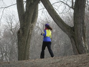 A person in a yellow and blue jacket jogs past large, bare trees.
