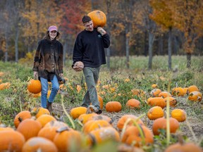 A young man and woman walk through a pumpkin patch