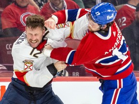 Montreal Canadiens' Josh Anderson punches Florida Panthers' Jonah Gadjovic