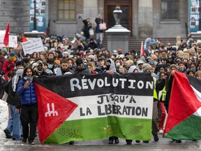 A group of students demonstrate in support of Gaza. A large sign reads "Révolution jusqu'a la libération."