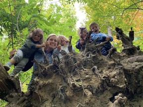 A teacher and four young students peer over a giant tree stump.