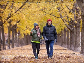 Two people walking down a tree-lined path