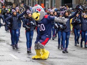 A person in an Alouettes bird mascot costume dances on the street with cheerleaders marching behind.