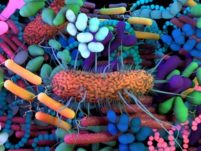 The human Microbiome, the genetic material of all the microbes that live on and inside the human body
