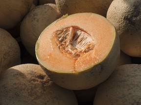 Cantaloupes are displayed for sale in Virginia
